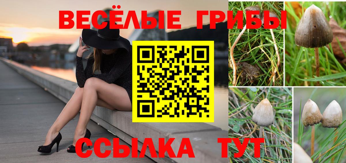 закладка  Галлюциногенные грибы прущие грибы  Вход с VPN  Галлюциногенные грибы Magic Shrooms  Кандалакша 